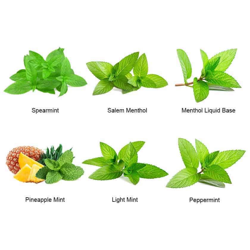 VAPELF – PINEAPPLE MINT – CONCENTRATED FLAVOURS – 10ML