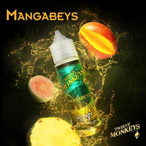 12 MONKEYS – INTELLIGENCE – MANGABEYS – 60ML